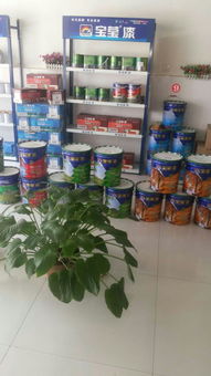 寶瑩漆 專業涂料加盟與招商代理的明智之選